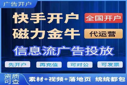 SEM服务公司成功案例解读